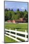 Barn on Vashon Island, Tacoma, Washington State, United States of America, North America-Richard Cummins-Mounted Photographic Print