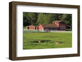 Barn on Vashon Island, Tacoma, Washington State, United States of America, North America-Richard Cummins-Framed Photographic Print