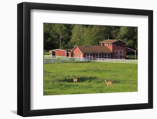 Barn on Vashon Island, Tacoma, Washington State, United States of America, North America-Richard Cummins-Framed Photographic Print