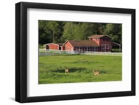 Barn on Vashon Island, Tacoma, Washington State, United States of America, North America-Richard Cummins-Framed Photographic Print