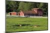 Barn on Vashon Island, Tacoma, Washington State, United States of America, North America-Richard Cummins-Mounted Photographic Print