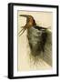 Barn or Chimney Swallow-John James Audubon-Framed Art Print