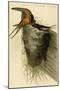 Barn or Chimney Swallow-John James Audubon-Mounted Art Print