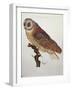 Barn Owl 1796-null-Framed Giclee Print