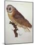 Barn Owl 1796-null-Mounted Giclee Print