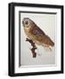 Barn Owl 1796-null-Framed Giclee Print