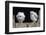 Barn Owl Chicks (Tyto Alba) Cumbria, June. Captive-Ann & Steve Toon-Framed Photographic Print