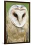 Barn Owl Close-Up-Hal Beral-Framed Premium Photographic Print