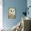 Barn Owl Close-Up-Hal Beral-Photographic Print displayed on a wall