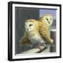 Barn Owl Couple-W Johnson James-Framed Giclee Print