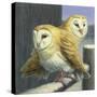Barn Owl Couple-W Johnson James-Stretched Canvas
