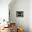 Barn Owl Flying into Building Through Window Carrying Mouse Prey, Girona, Spain-Inaki Relanzon-Photographic Print displayed on a wall