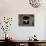 Barn Owl Flying into Building Through Window Carrying Mouse Prey, Girona, Spain-Inaki Relanzon-Mounted Photographic Print displayed on a wall