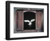 Barn Owl Flying into Building Through Window Carrying Mouse Prey, Girona, Spain-Inaki Relanzon-Framed Photographic Print