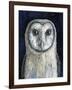 Barn Owl I-Jamin Still-Framed Giclee Print