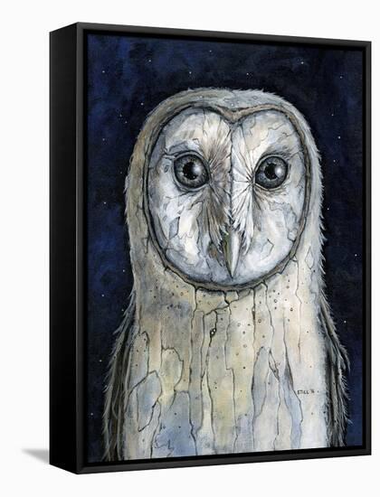 Barn Owl I-Jamin Still-Framed Stretched Canvas