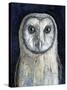 Barn Owl I-Jamin Still-Stretched Canvas