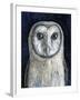 Barn Owl I-Jamin Still-Framed Giclee Print