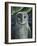 Barn Owl II-Jamin Still-Framed Giclee Print