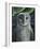 Barn Owl II-Jamin Still-Framed Giclee Print