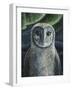 Barn Owl II-Jamin Still-Framed Giclee Print