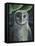 Barn Owl II-Jamin Still-Framed Stretched Canvas