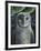 Barn Owl II-Jamin Still-Framed Giclee Print