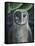 Barn Owl II-Jamin Still-Framed Stretched Canvas