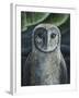 Barn Owl II-Jamin Still-Framed Giclee Print