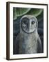 Barn Owl II-Jamin Still-Framed Giclee Print