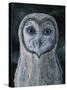 Barn Owl III-Jamin Still-Stretched Canvas