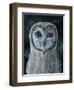 Barn Owl III-Jamin Still-Framed Giclee Print