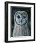 Barn Owl III-Jamin Still-Framed Giclee Print