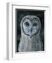 Barn Owl III-Jamin Still-Framed Giclee Print