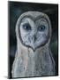 Barn Owl III-Jamin Still-Mounted Giclee Print