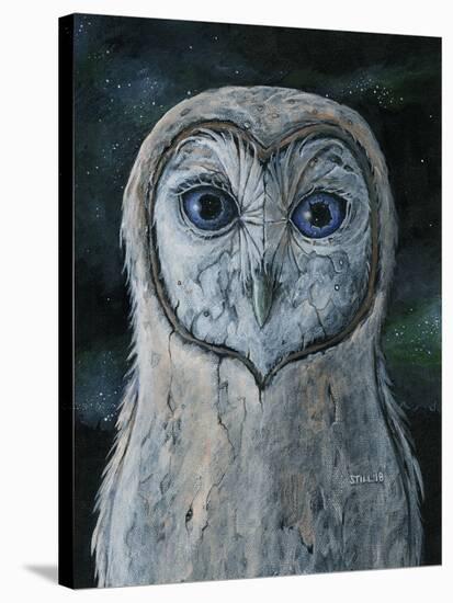 Barn Owl III-Jamin Still-Stretched Canvas