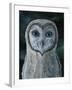 Barn Owl III-Jamin Still-Framed Giclee Print