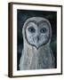 Barn Owl III-Jamin Still-Framed Giclee Print