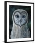 Barn Owl III-Jamin Still-Framed Giclee Print