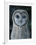 Barn Owl III-Jamin Still-Framed Giclee Print