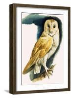 Barn Owl, Illustration from 'Peeps at Nature', 1963-English Photographer-Framed Giclee Print