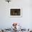 Barn Owl in Barn Window-W. Perry Conway-Framed Photographic Print displayed on a wall