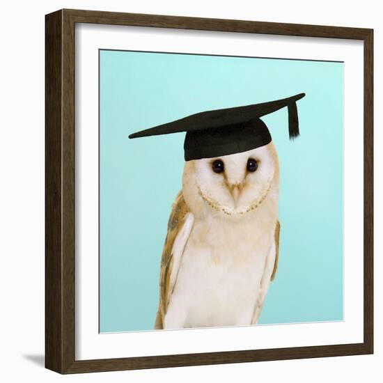 Barn Owl in Mortar Board-Andy and Clare Teare-Framed Photographic Print