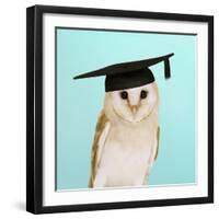 Barn Owl in Mortar Board-Andy and Clare Teare-Framed Photographic Print