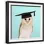 Barn Owl in Mortar Board-Andy and Clare Teare-Framed Photographic Print