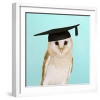 Barn Owl in Mortar Board-Andy and Clare Teare-Framed Photographic Print