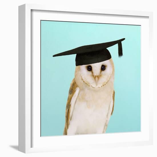 Barn Owl in Mortar Board-Andy and Clare Teare-Framed Photographic Print