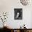 Barn Owl, in Old Farm Building Window, Scotland, UK Cairngorms National Park-Pete Cairns-Photographic Print displayed on a wall