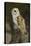Barn Owl, Montana-Adam Jones-Stretched Canvas