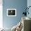 Barn Owl, Peering out of Broken Window, UK-Jane Burton-Framed Photographic Print displayed on a wall